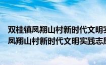 双桂镇凤翔山村新时代文明实践志愿服务分队（关于双桂镇凤翔山村新时代文明实践志愿服务分队介绍）