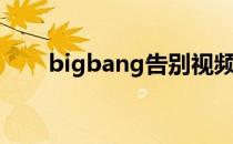 bigbang告别视频（bigbang告别）