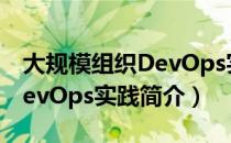 大规模组织DevOps实践（关于大规模组织DevOps实践简介）