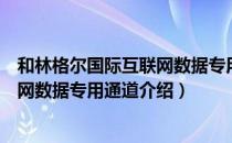 和林格尔国际互联网数据专用通道（关于和林格尔国际互联网数据专用通道介绍）