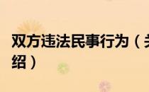 双方违法民事行为（关于双方违法民事行为介绍）