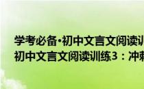 学考必备·初中文言文阅读训练3：冲刺编（关于学考必备·初中文言文阅读训练3：冲刺编介绍）