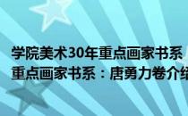 学院美术30年重点画家书系：唐勇力卷（关于学院美术30年重点画家书系：唐勇力卷介绍）