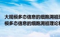 大规模多态信息的细胞溯祖理论和统计分析方法（关于大规模多态信息的细胞溯祖理论和统计分析方法简介）