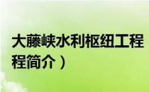 大藤峡水利枢纽工程（关于大藤峡水利枢纽工程简介）