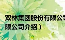 双林集团股份有限公司（关于双林集团股份有限公司介绍）