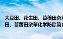 大豆田、花生田、苜蓿田杂草化学防除（关于大豆田、花生田、苜蓿田杂草化学防除简介）