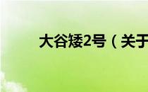 大谷矮2号（关于大谷矮2号简介）