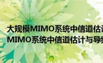 大规模MIMO系统中信道估计与导频设计研究（关于大规模MIMO系统中信道估计与导频设计研究简介）