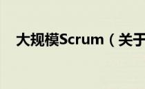 大规模Scrum（关于大规模Scrum简介）