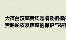 大葆台汉墓黄肠题凑及棺椁的保护与研究（关于大葆台汉墓黄肠题凑及棺椁的保护与研究简介）