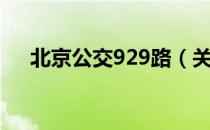 北京公交929路（关于北京公交929路）