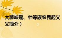 大藤峡瑶、壮等族农民起义（关于大藤峡瑶、壮等族农民起义简介）