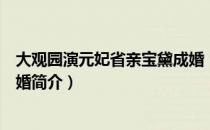 大观园演元妃省亲宝黛成婚（关于大观园演元妃省亲宝黛成婚简介）