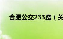 合肥公交233路（关于合肥公交233路）