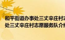 和平街道办事处三丈辛庄村志愿服务队（关于和平街道办事处三丈辛庄村志愿服务队介绍）