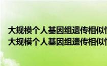 大规模个人基因组遗传相似性评价与可视化方法研究（关于大规模个人基因组遗传相似性评价与可视化方法研究简介）