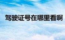 驾驶证号在哪里看啊（驾驶证号在哪里看）