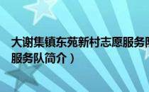 大谢集镇东苑新村志愿服务队（关于大谢集镇东苑新村志愿服务队简介）