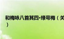 和梅咏八首其四·绿萼梅（关于和梅咏八首其四·绿萼梅介绍）