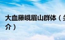 大血藤峨眉山群体（关于大血藤峨眉山群体简介）