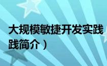 大规模敏捷开发实践（关于大规模敏捷开发实践简介）