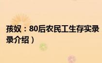 孩奴：80后农民工生存实录（关于孩奴：80后农民工生存实录介绍）