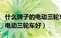 什么牌子的电动三轮车好拉货用（什么牌子的电动三轮车好）