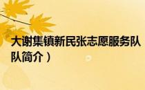 大谢集镇新民张志愿服务队（关于大谢集镇新民张志愿服务队简介）