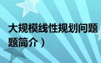 大规模线性规划问题（关于大规模线性规划问题简介）