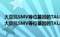 大豆抗SMV等位基因的TALENs验证及抗病机理研究（关于大豆抗SMV等位基因的TALENs验证及抗病机理研究简介）