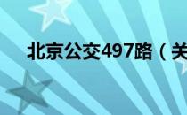 北京公交497路（关于北京公交497路）