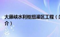 大藤峡水利枢纽灌区工程（关于大藤峡水利枢纽灌区工程简介）