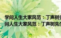 学问人生大家风范：丁声树先生百年诞辰纪念文集（关于学问人生大家风范：丁声树先生百年诞辰纪念文集介绍）