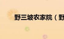 野三坡农家院（野三坡农家院推荐）