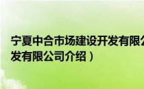 宁夏中合市场建设开发有限公司（关于宁夏中合市场建设开发有限公司介绍）