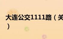 大连公交1111路（关于大连公交1111路简介）