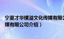 宁夏才华横溢文化传媒有限公司（关于宁夏才华横溢文化传媒有限公司介绍）