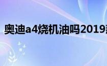 奥迪a4烧机油吗2019款（奥迪a4烧机油吗）