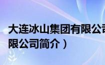 大连冰山集团有限公司（关于大连冰山集团有限公司简介）