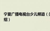 宁夏广播电视台少儿频道（关于宁夏广播电视台少儿频道介绍）