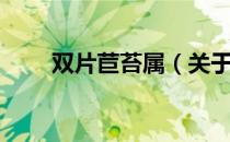 双片苣苔属（关于双片苣苔属介绍）