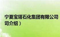 宁夏宝塔石化集团有限公司（关于宁夏宝塔石化集团有限公司介绍）