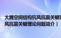 大跨空间结构抗风抗震关键理论问题（关于大跨空间结构抗风抗震关键理论问题简介）