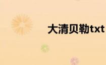 大清贝勒txt（大清贝勒）