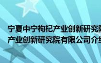 宁夏中宁枸杞产业创新研究院有限公司（关于宁夏中宁枸杞产业创新研究院有限公司介绍）