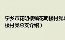 宁乡市花明楼镇花明楼村党总支（关于宁乡市花明楼镇花明楼村党总支介绍）