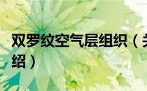 双罗纹空气层组织（关于双罗纹空气层组织介绍）