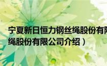 宁夏新日恒力钢丝绳股份有限公司（关于宁夏新日恒力钢丝绳股份有限公司介绍）