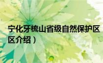 宁化牙梳山省级自然保护区（关于宁化牙梳山省级自然保护区介绍）